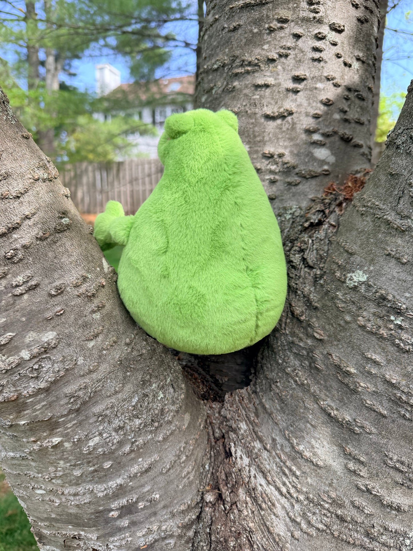 Frogbert Plushie